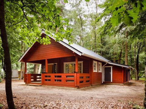 RCN Vakantiepark de Jagerstee - Epe - Image N°28