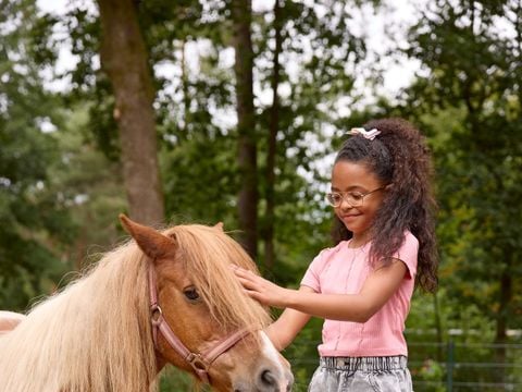 RCN Vakantiepark de Noordster - Westerveld