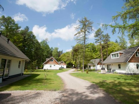 RCN Vakantiepark het Grote Bos - Utrechtse Heuvelrug