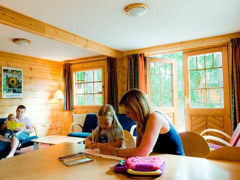 RCN Vakantiepark het Grote Bos - Utrechtse Heuvelrug - Image N°3