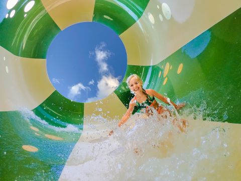 RCN Vakantiepark het Grote Bos - Utrechtse Heuvelrug - Image N°3