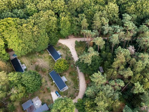 RCN Vakantiepark het Grote Bos - Utrechtse Heuvelrug - Image N°42
