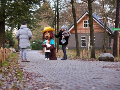 RCN Vakantiepark het Grote Bos - Utrechtse Heuvelrug - Image N°12
