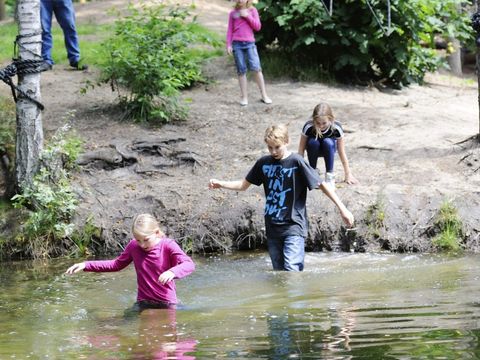 RCN Vakantiepark het Grote Bos - Utrechtse Heuvelrug - Image N°17