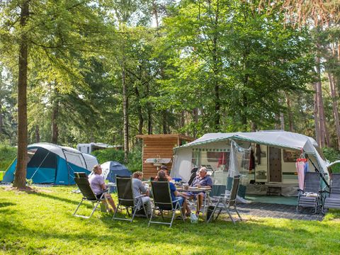 RCN Vakantiepark het Grote Bos - Utrechtse Heuvelrug - Image N°34