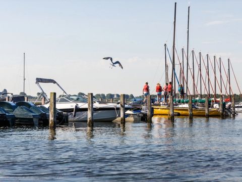 RCN Vakantiepark De Schotsman - Beveland-Nord - Image N°44
