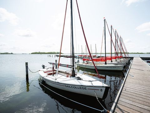 RCN Vakantiepark De Schotsman - Beveland-Nord - Image N°38