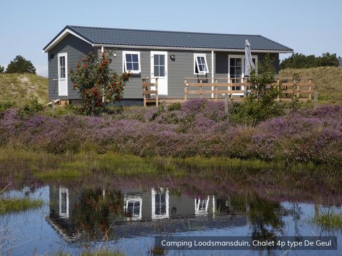 Texelcamping Loodsmansduin - Texel - Image N°5