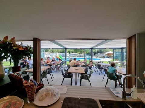 Verblijfpark Breebos - Anvers - Image N°30