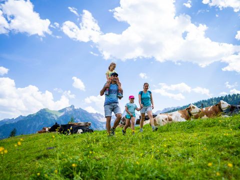 Landal Alpen Chalets Bad Kleinkirchheim - Carinthie