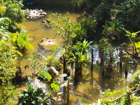 Tropical Islands Resort - Brandebourg - Image N°41