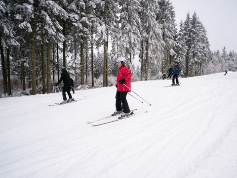 Center Parcs Park Hochsauerland - Rhénanie du Nord-Westphalie
