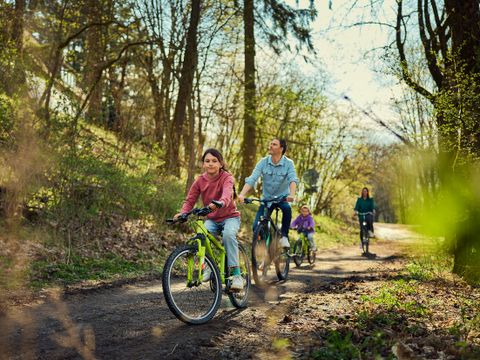 Center Parcs Park Hochsauerland - Rhénanie du Nord-Westphalie