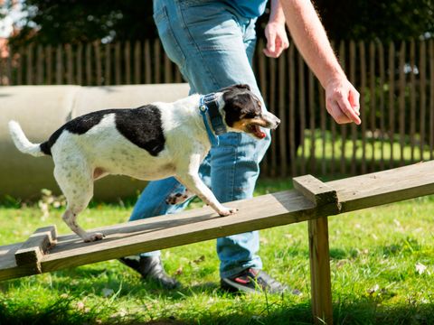 Landal Dwergter Sand - Basse-saxe