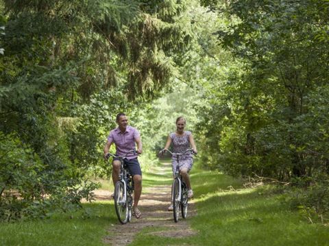 Landal Dwergter Sand - Basse-saxe