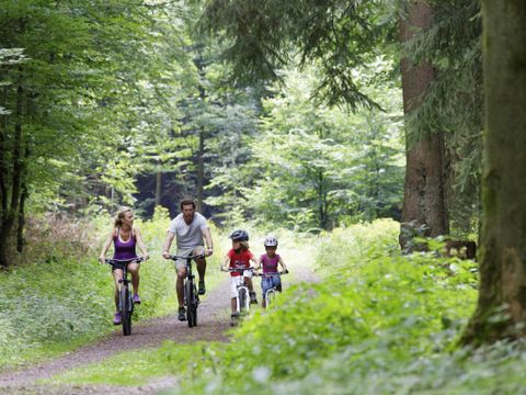 Center Parcs Park Bostalsee - Sarre