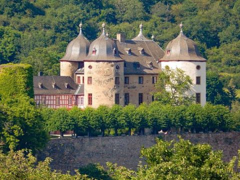 Ferienpark Hambachtal - Rhénanie-Palatinat - Image N°17