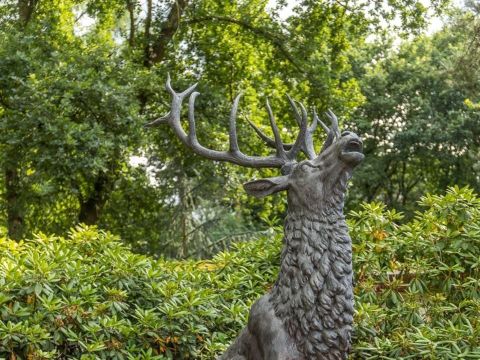 Park Berkenrhode - Ede - Image N°32