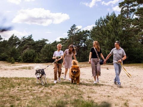 Park Berkenrhode - Ede - Image N°2