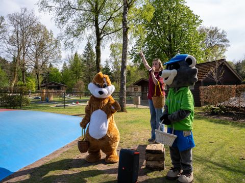 Recreatiepark De Paalberg - Ermelo - Image N°22