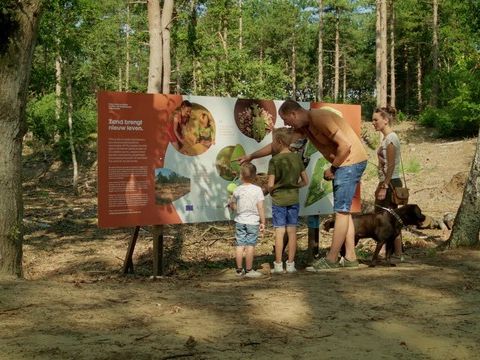 Park Molenheide - Limburg Belge