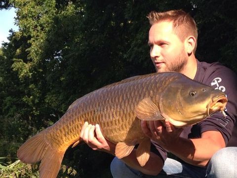 Holland Chalet Park Hensbroek - Koggenland