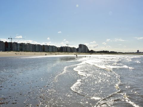 Holiday Suites Westende - Flandre Occidentale - Image N°13