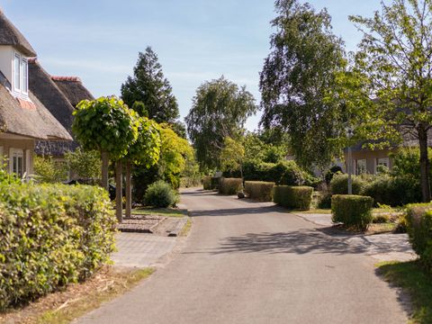 Resort Citta Romana - Hellevoetsluis - Image N°2