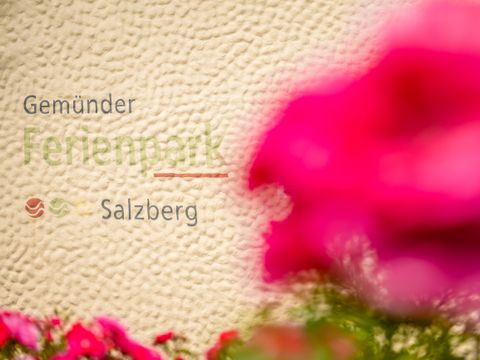 Gemünder Ferienpark Salzberg - Rhénanie-Palatinat - Image N°28