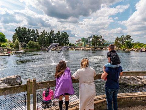 EuroParcs Veluwemeer - Nunspeet - Image N°31