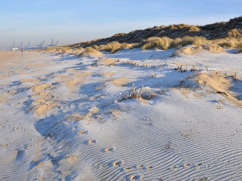 Holiday Suites Zeebrugge - Flandre Occidentale - Image N°23