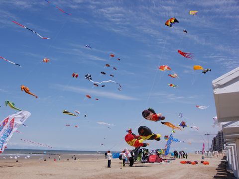 Kompas Camping Nieuwpoort - Flandre Occidentale