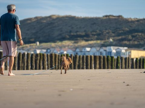 Landal Noordzee Résidence Dishoek - Veere