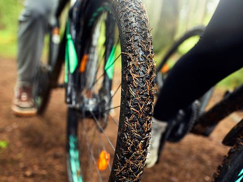 Center Parcs Les Ardennes - Luxembourg