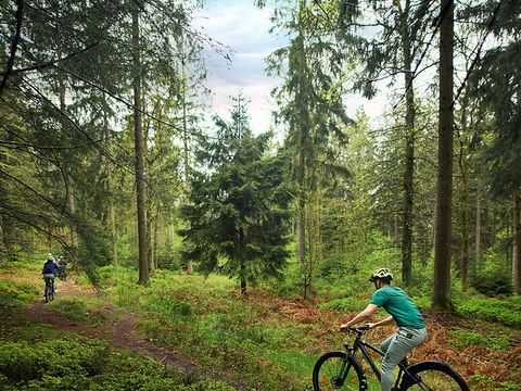 Center Parcs Les Ardennes - Luxembourg