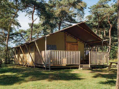 Safari Resort Beekse Bergen - Hilvarenbeek