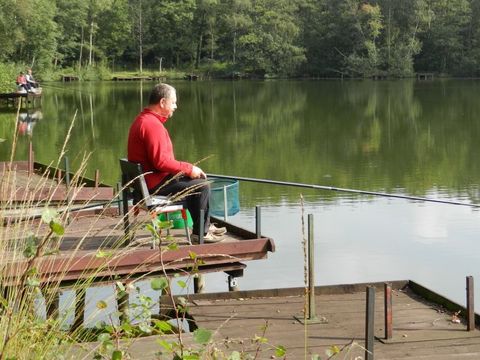 Camping Baalse Hei - Anvers