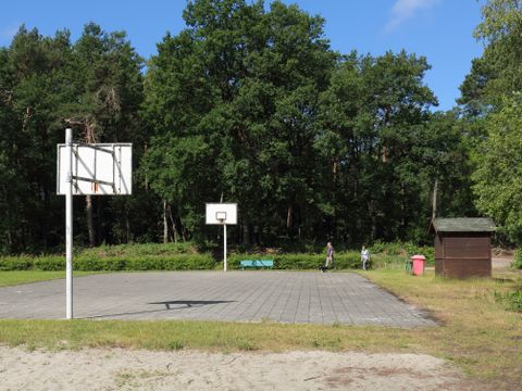 Camping Baalse Hei - Anvers