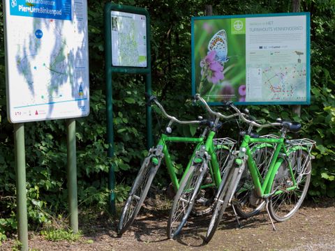 Camping Baalse Hei - Anvers