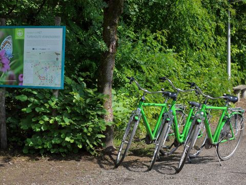 Camping Baalse Hei - Anvers