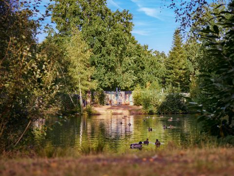 Center Parcs Park Nordseeküste - Camping Basse-saxe