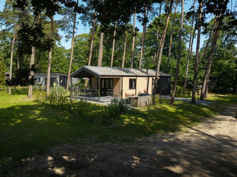 Bospark Markelo - Hof von Twente - Image N°9