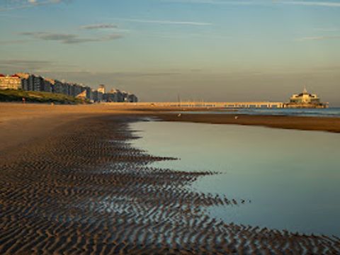 Verblijfpark Beachside - Flandre Occidentale - Image N°33