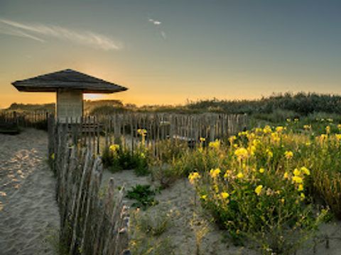 Verblijfpark Beachside - Flandre Occidentale - Image N°42