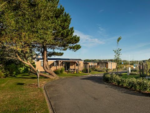Verblijfpark Beachside - Flandre Occidentale - Image N°16