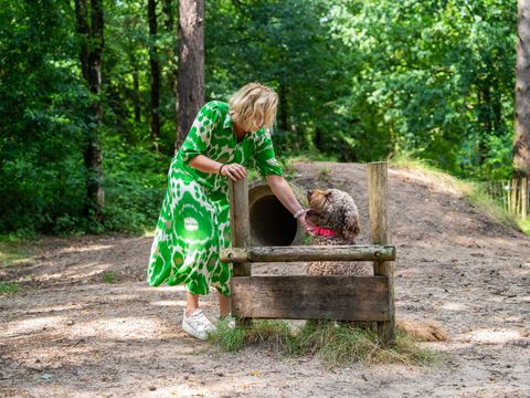 TopParken Recreatiepark Beekbergen - Apeldoorn