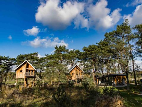 EuroParcs De Wije Werelt - Ede - Image N°31