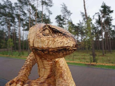 EuroParcs De Wije Werelt - Ede