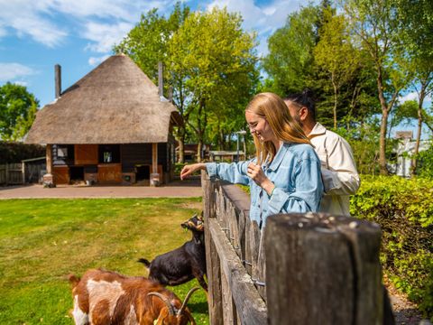 EuroParcs De Wije Werelt - Ede