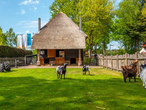 EuroParcs De Wije Werelt - Ede
